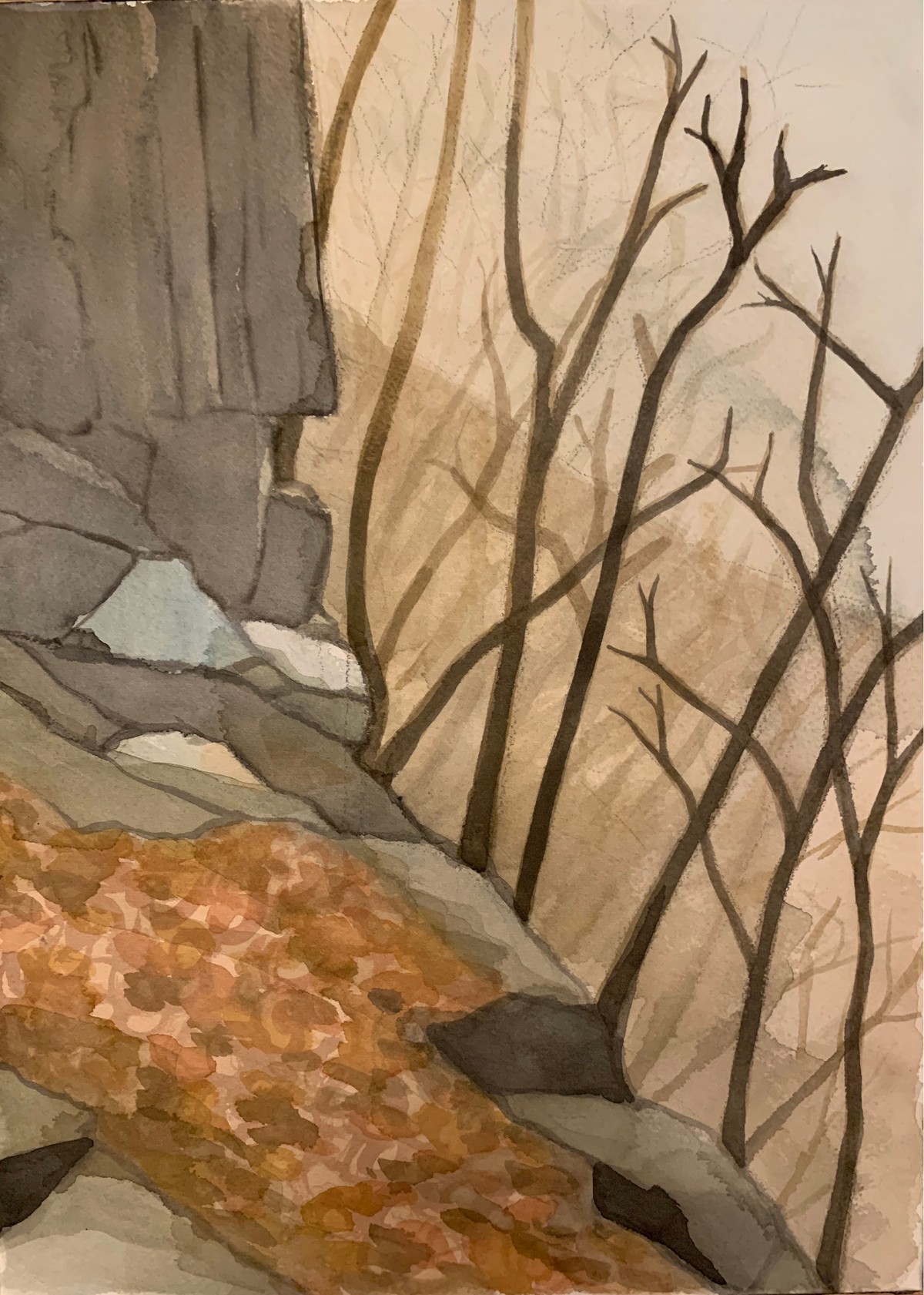 Rocks and Leaves on the Steep, Gouache on paper, 26 x 36 cm, 2019